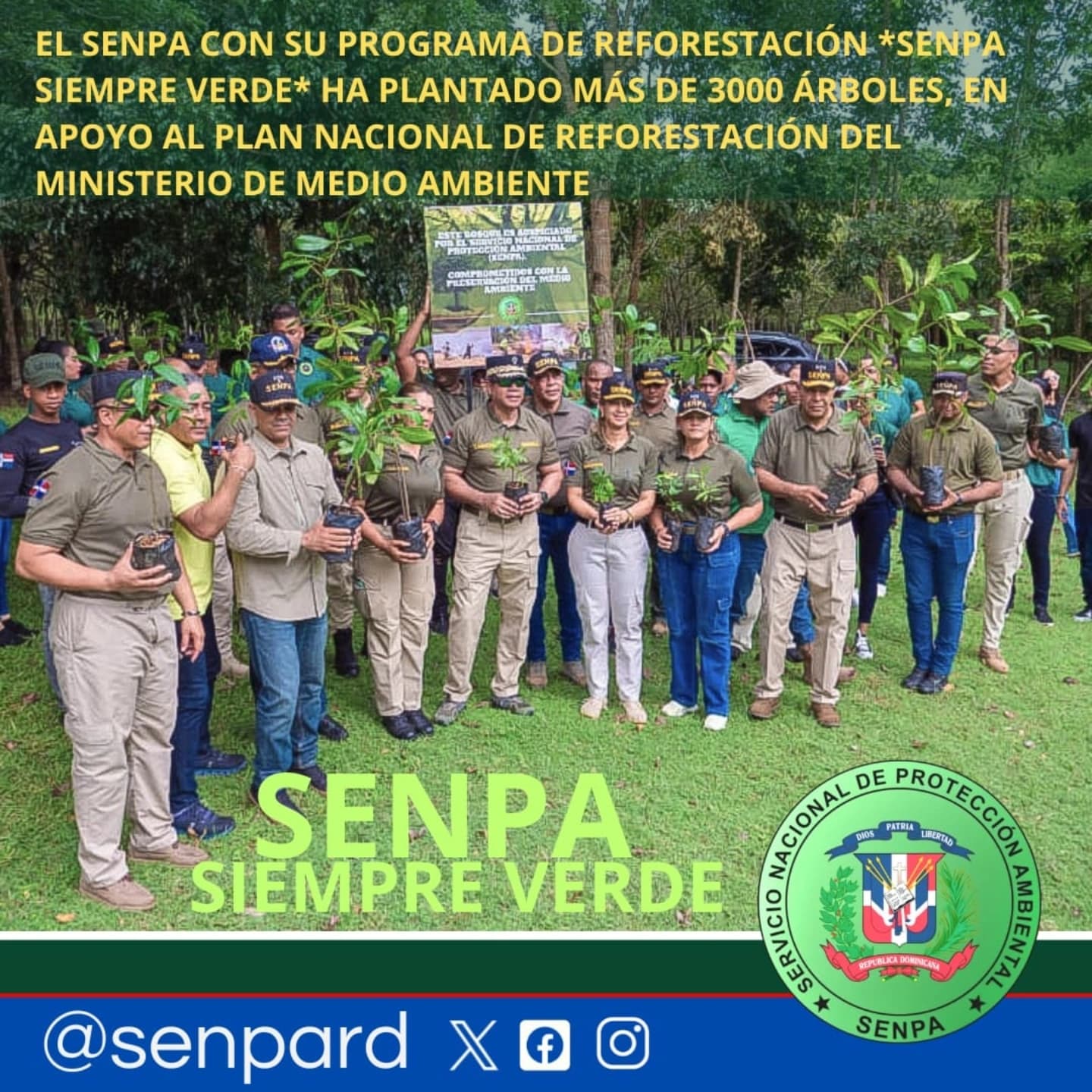 El Servicio Nacional de Protección Ambiental (SENPA), con su programa de Reforestación “Senpa Siempre Verde”