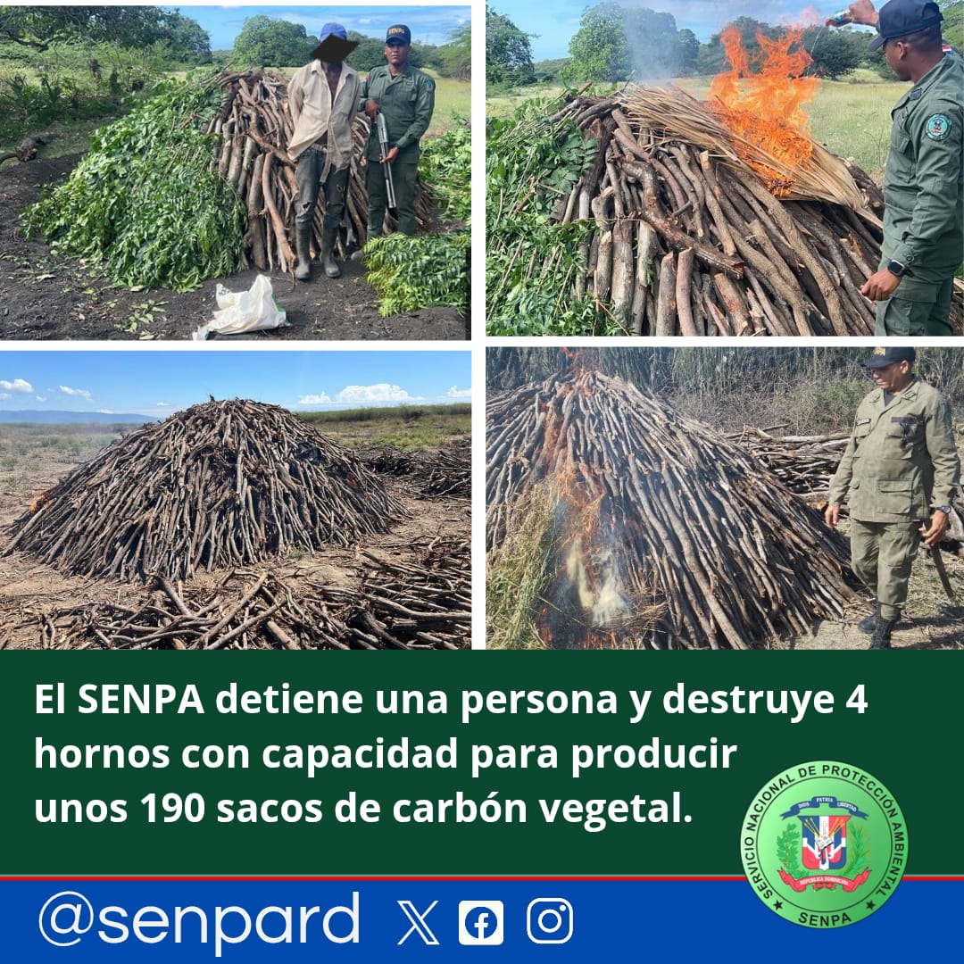 El SENPA detiene una persona y destruye unos 4 hornos con capacidad para producir 190 sacos de carbón vegetal.