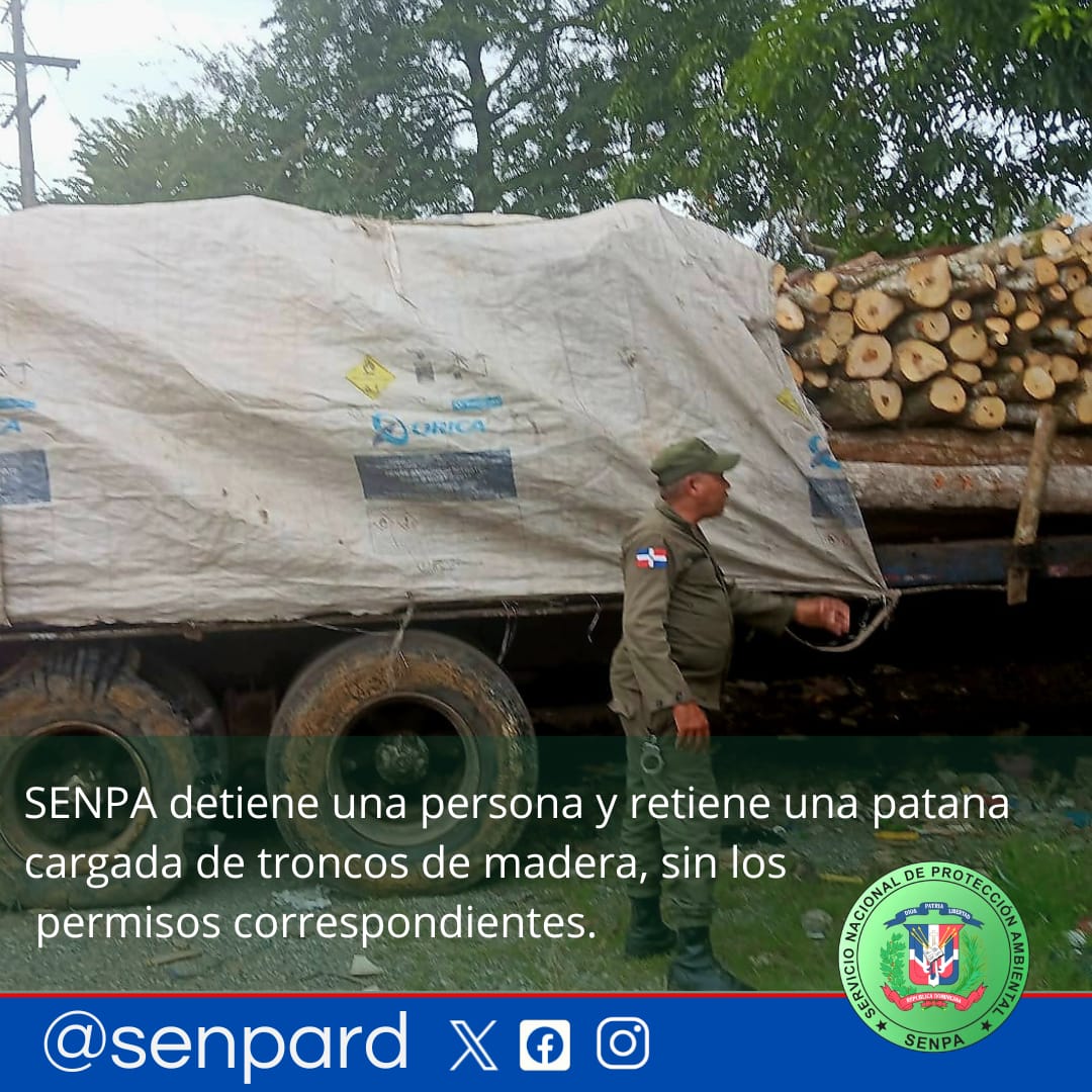 SENPA detiene una persona y retiene una “patana” cargada de troncos de madera, por no contar con los permisos ambientales correspondientes.