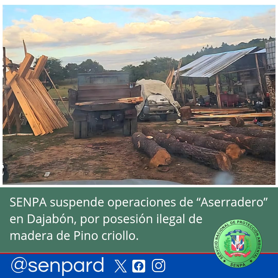 SENPA suspende operaciones de un “Aserradero” en Dajabón, por posesión ilegal de madera de Pino criollo.