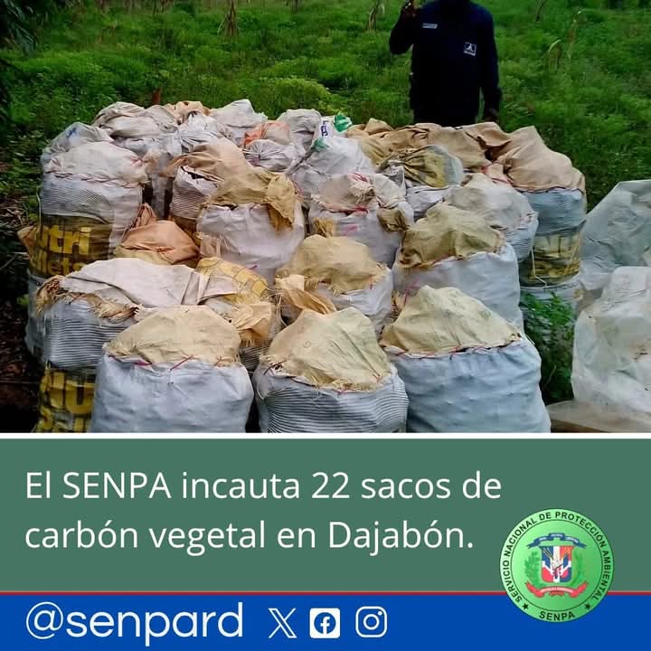 El SENPA incauta 22 sacos de carbón vegetal en Dajabón. El SENPA incauta 22 sacos de carbón vegetal en Dajabón.