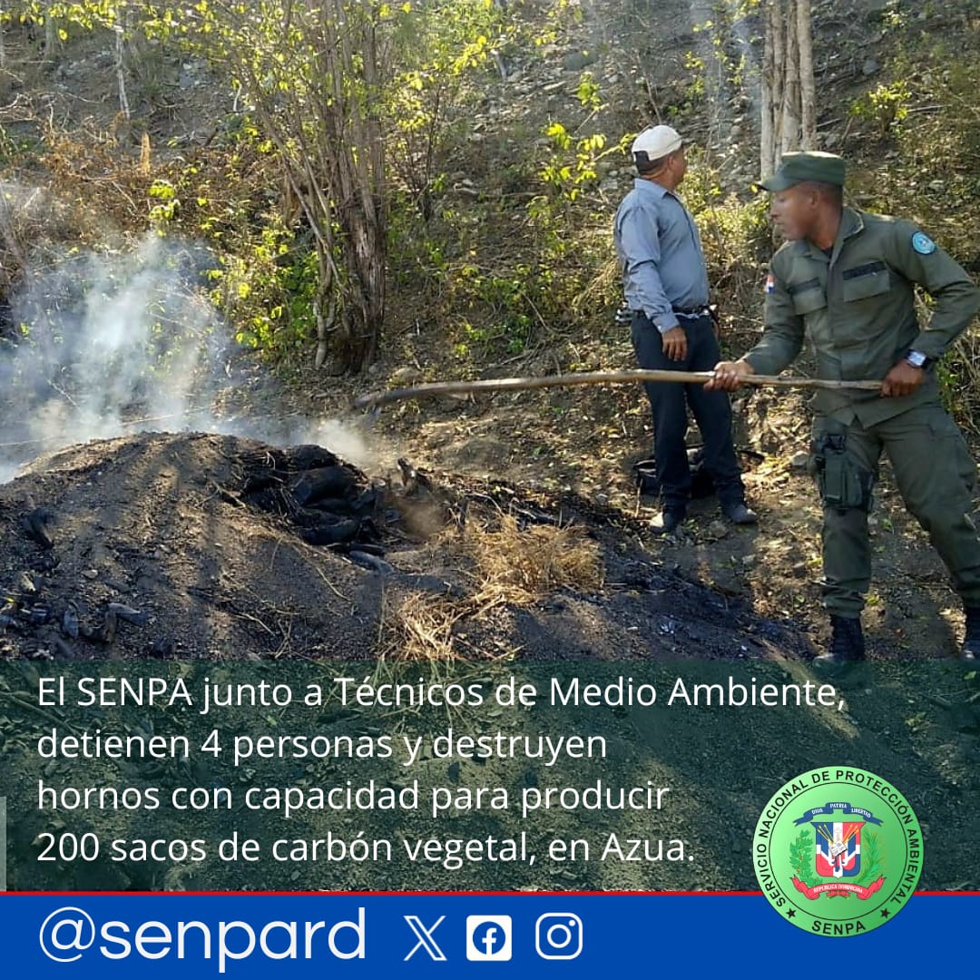 SENPA desmantela producción ilegal de carbón vegetal en Azua y detiene a 4 personas