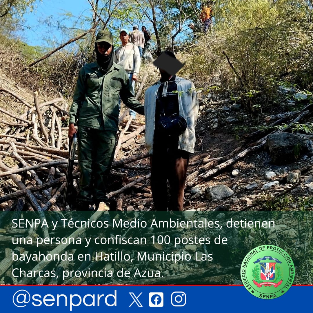 SENPA y Técnicos de Medio Ambiente Detienen a Nacional Haitiano por Corte Ilegal de Madera en Azua