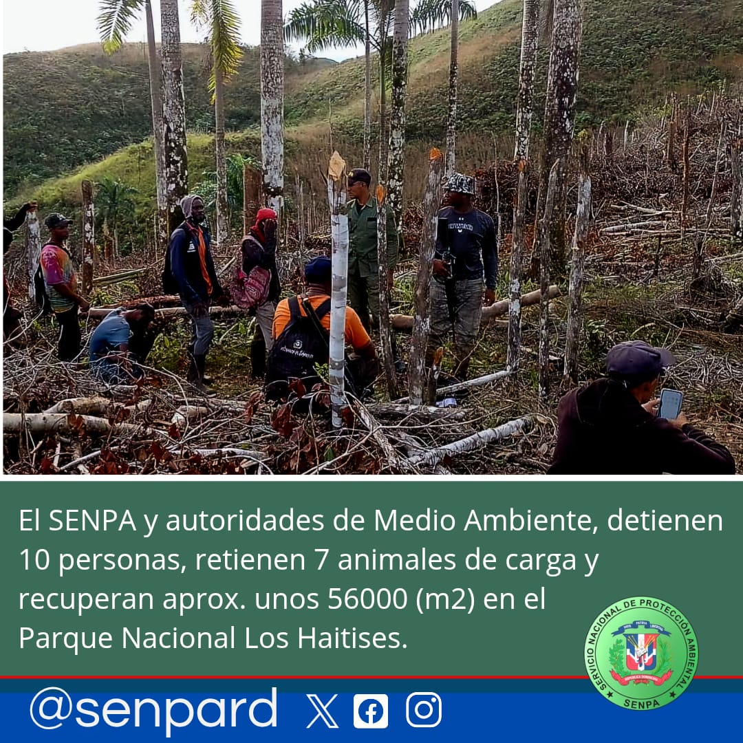 SENPA Realiza Operativo en el Parque Nacional Los Haitises: 10 Detenidos y 56,000 m² Recuperados de Tala Ilegal
