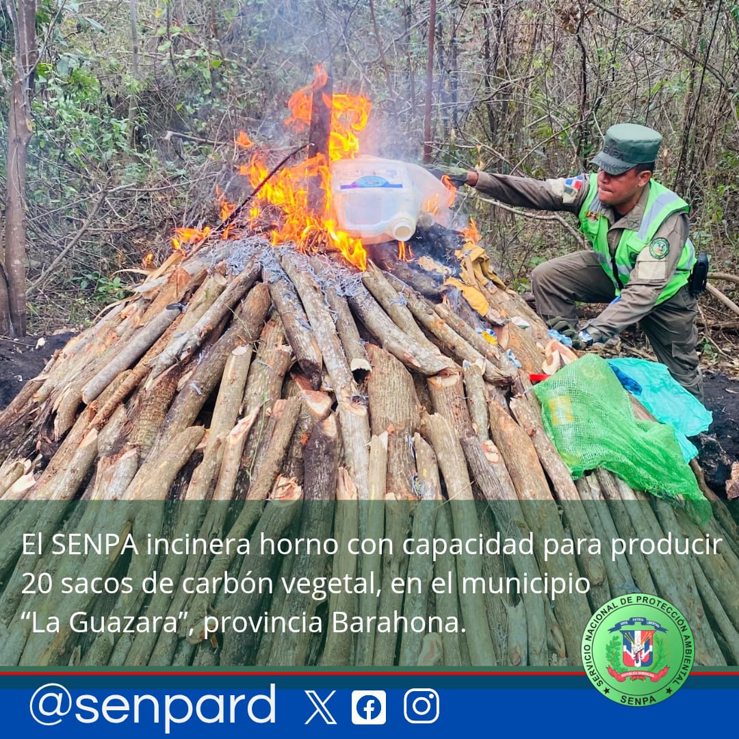 SENPA Incinera Horno Ilegal para Producción de Carbón Vegetal en Barahona y Continúa Búsqueda de Responsables