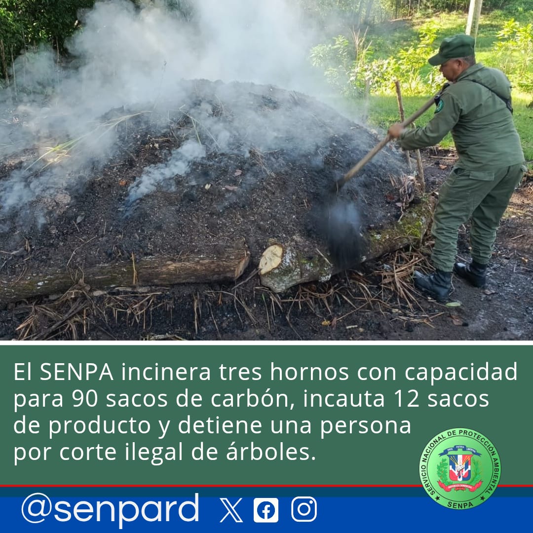 SENPA Intensifica Operativos en Todo el País: Destrucción de Hornos y Detección de Corte Ilegal de Árboles