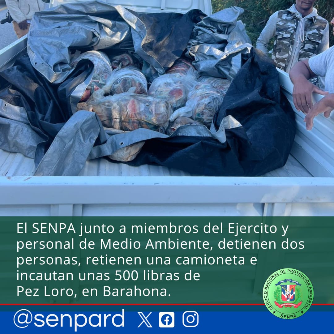 SENPA Incauta 500 Libras de Pez Loro en Barahona y Detiene a Dos Personas por Transporte Ilegal SENPA Incauta 500 Libras de Pez Loro en Barahona y Detiene a Dos Personas por Transporte Ilegal