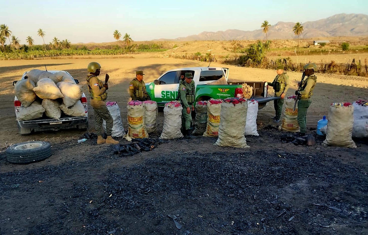 Detienen un nacional haitiano, con estatus migratorio irregular e incautan 42 sacos de carbón vegetal en Azua.