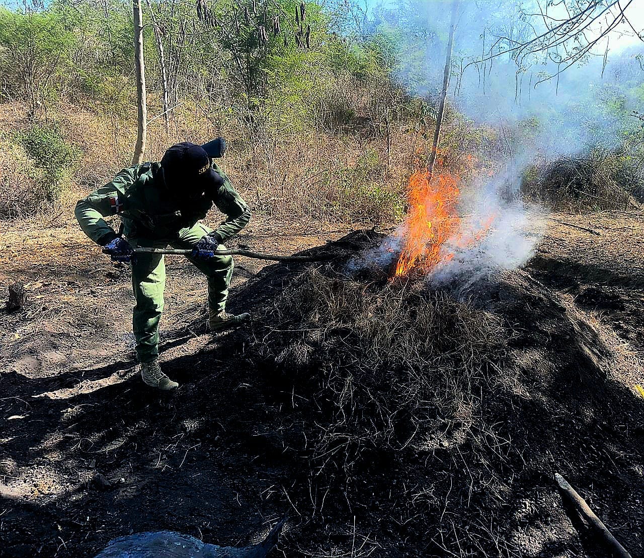 El SENPA intensifica operativos focalizados contra la producción ilegal de carbón vegetal, con el desmantelamiento de 4 hornos con capacidad para unos 68 sacos.