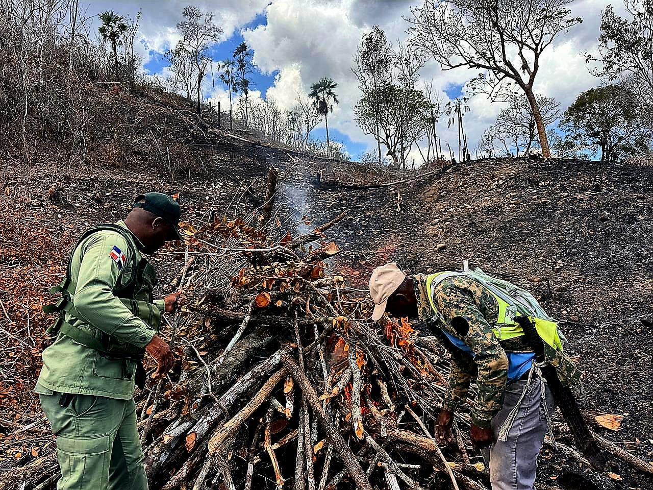 SENPA intensifica su lucha contra actividades ilegales con importantes incautaciones y desmantelamientos