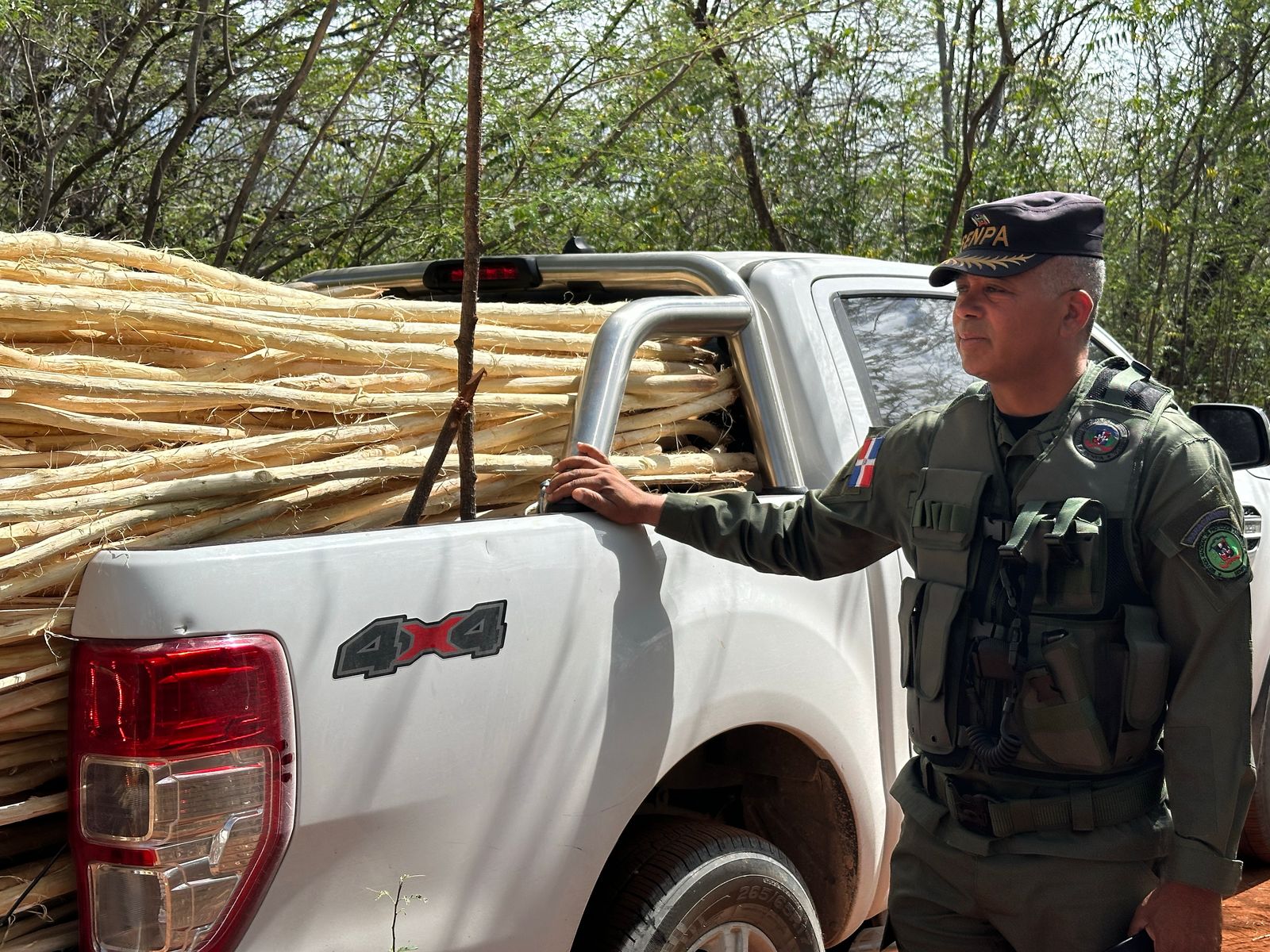 SENPA incauta más de 600 varas de la especie Nin destinadas a pesca ilegal en Cabo Rojo
