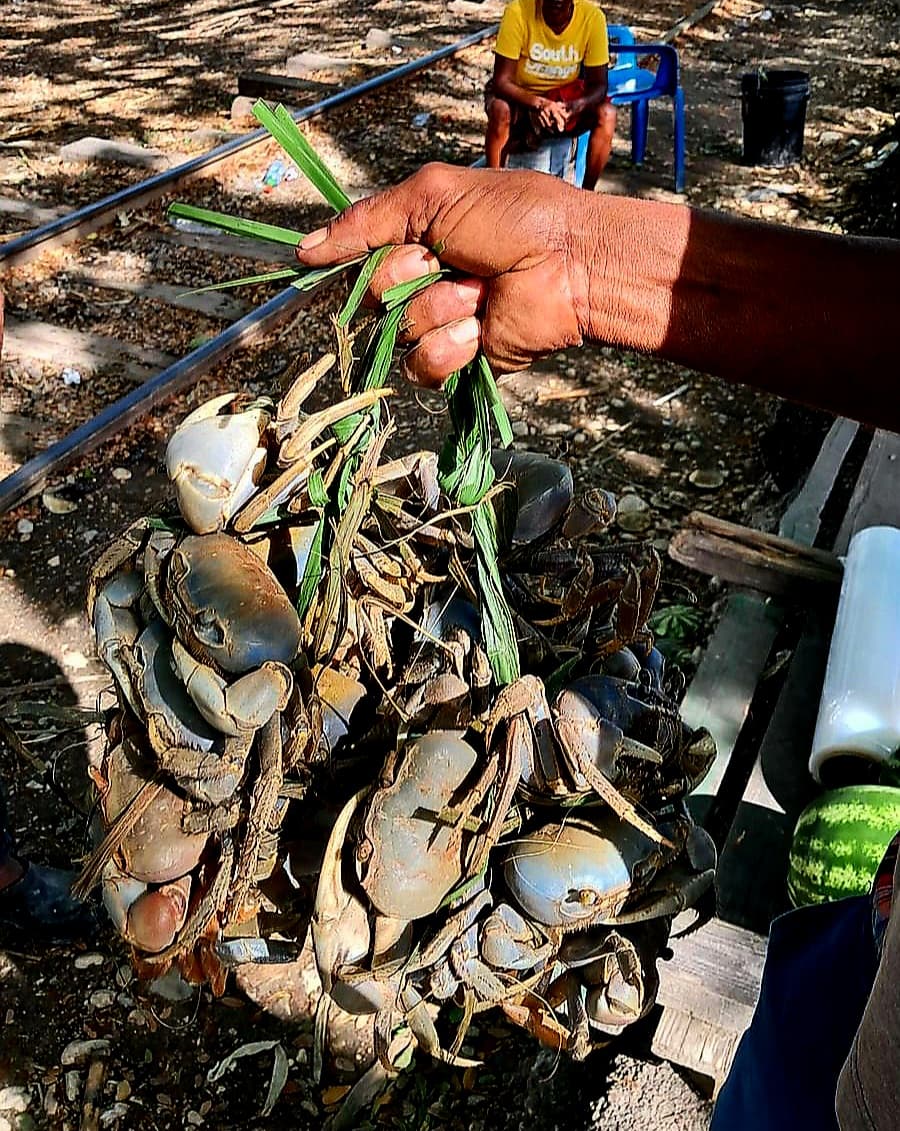 SENPA detiene a mujer por comercializar cangrejos en periodo de veda y devuelve los crustáceos al río Yaque del Sur