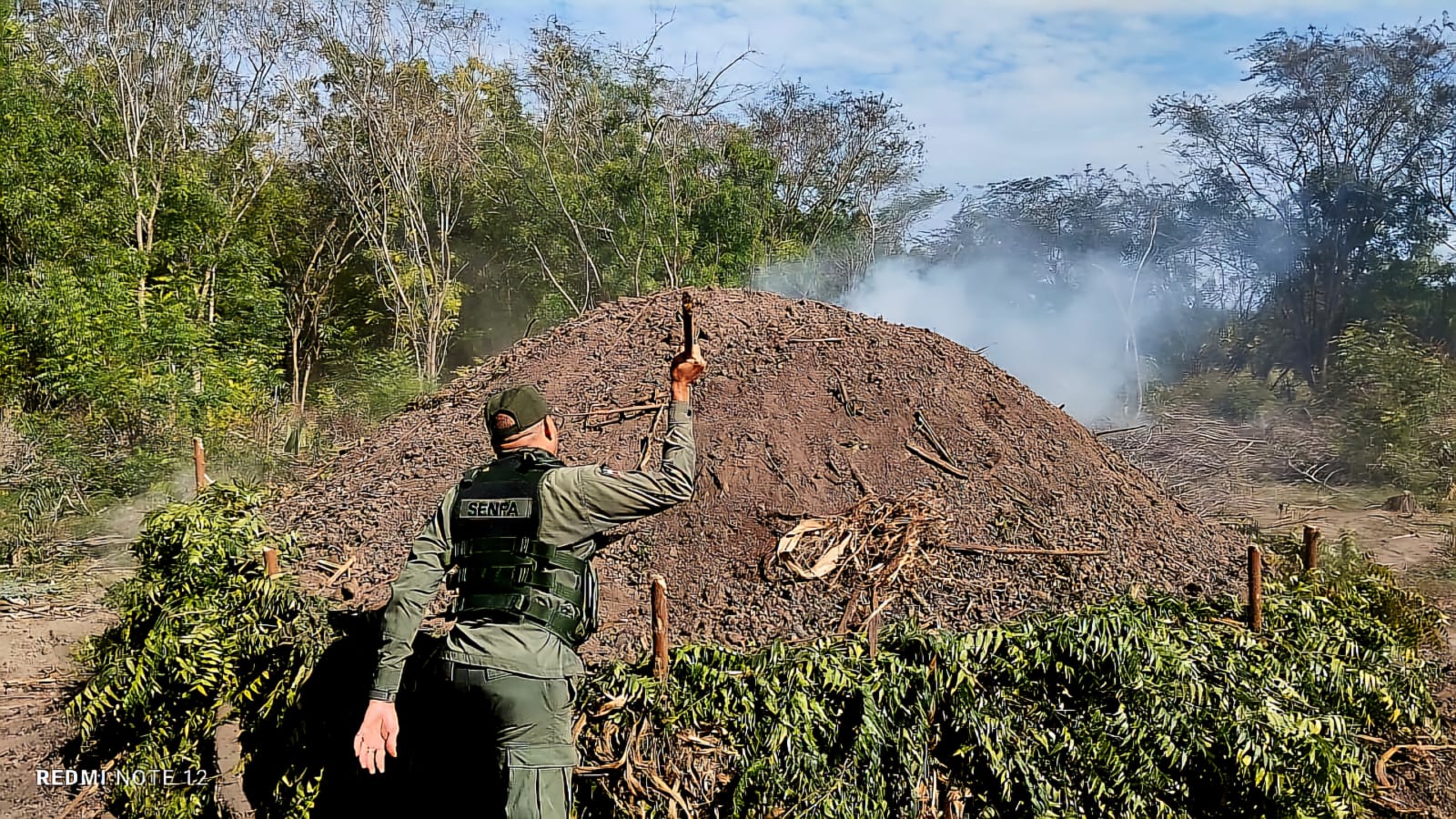 SENPA Intensifica Operativos Contra Delitos Ambientales: Cuatro Hornos de Carbón Desmantelados y Confiscados 80 Postes de Bayahonda