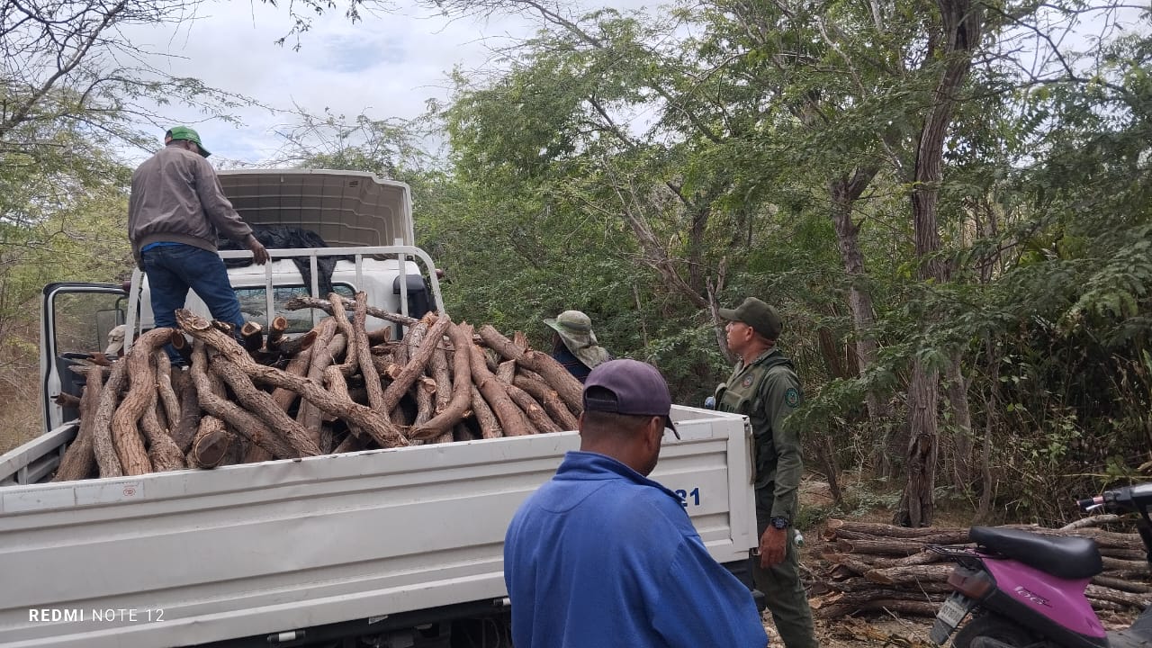 SENPA, Medio Ambiente y autoridades intensifican lucha contra la tala ilegal: incautan madera y vehículos en Azua y Barahona