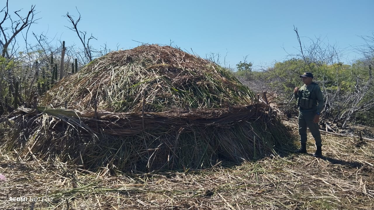 SENPA desmantela horno clandestino de carbón vegetal en Azua