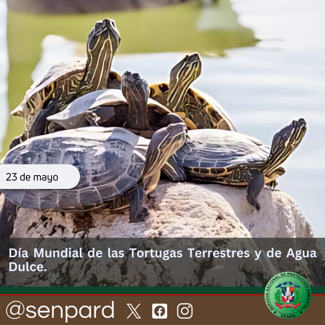 Día Mundial de las Tortugas Terrestres y de Agua Dulce