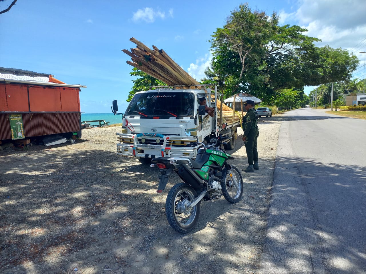 SENPA detiene a dos personas y un camión cargado de madera ilegal