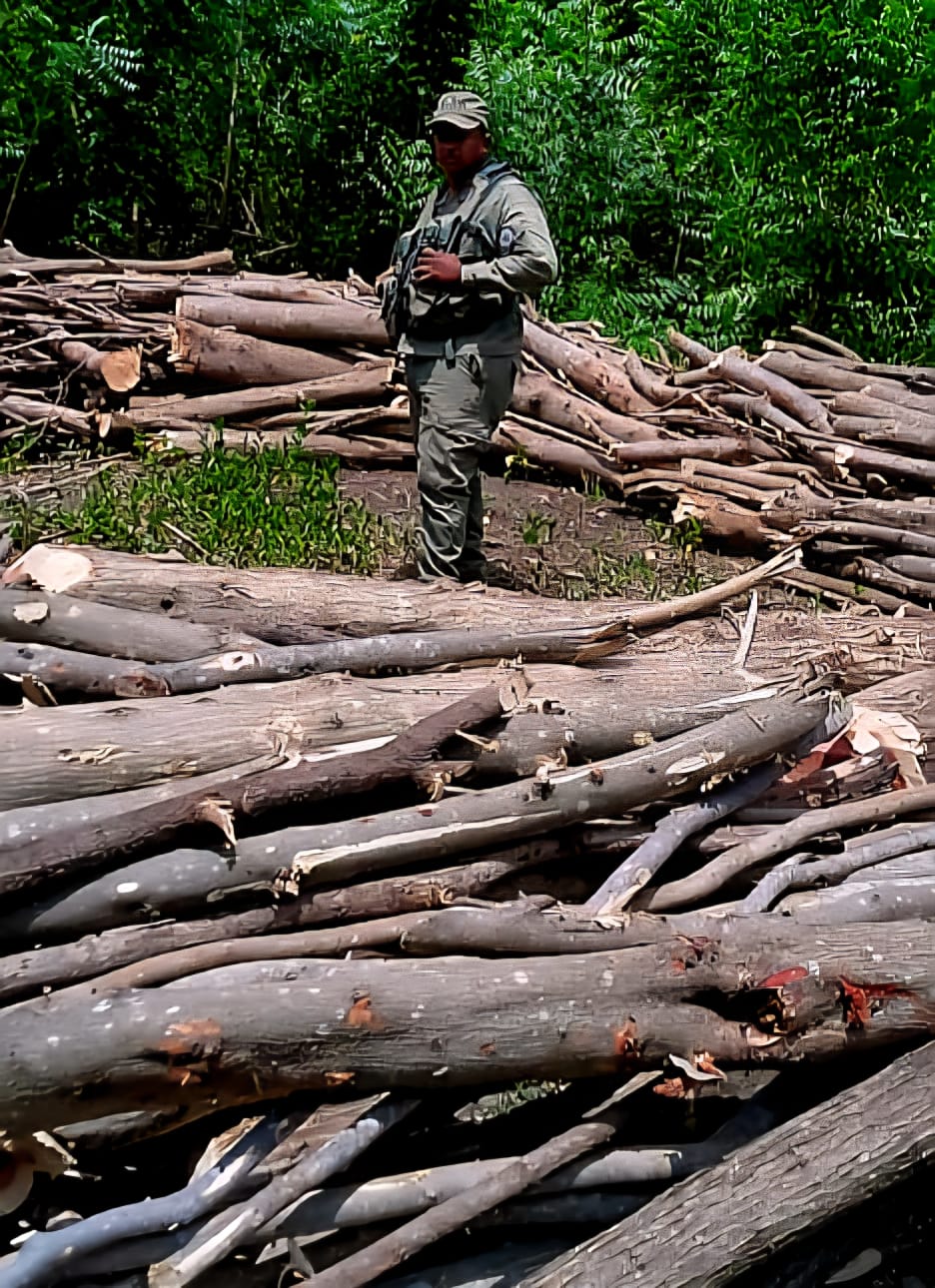 SENPA y Medio Ambiente desmantelan centro ilegal de producción de carbón vegetal en Independencia SENPA y Medio Ambiente desmantelan centro ilegal de producción de carbón vegetal en Independencia