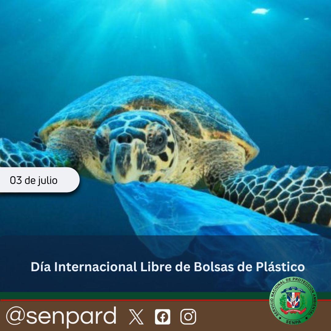 Día Internacional Libre de Bolsas de Plástico. Día Internacional Libre de Bolsas de Plástico.