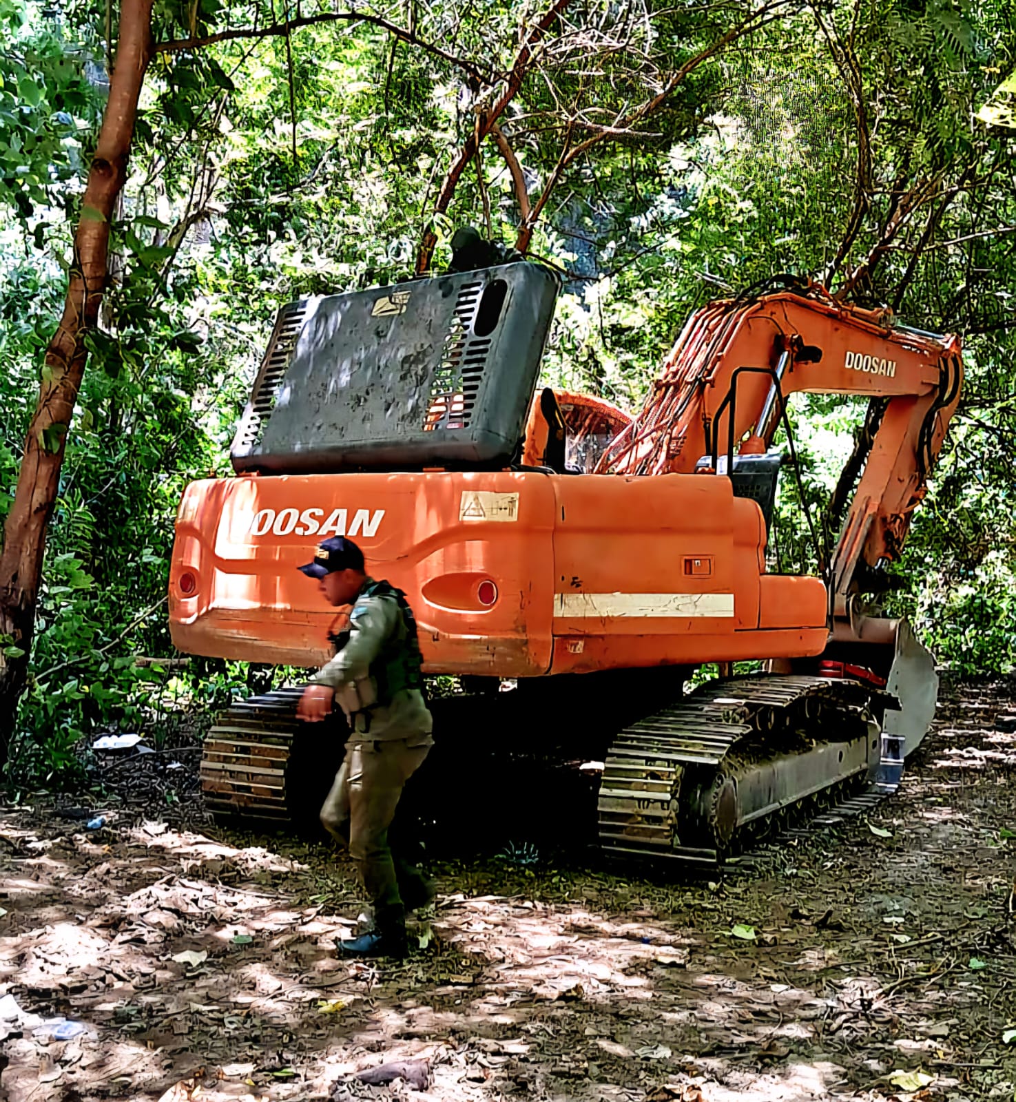 SENPA y Medio Ambiente intensifican acciones contra los delitos ambientales en todo el país SENPA y Medio Ambiente intensifican acciones contra los delitos ambientales en todo el país