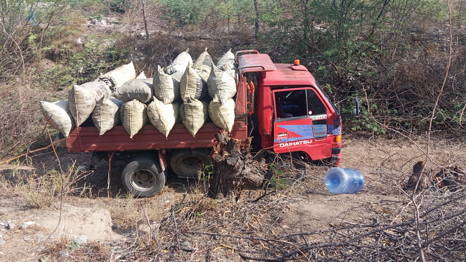 SENPA y Medio Ambiente intensifican operativos contra delitos ambientales en todo el país SENPA y Medio Ambiente intensifican operativos contra delitos ambientales en todo el país