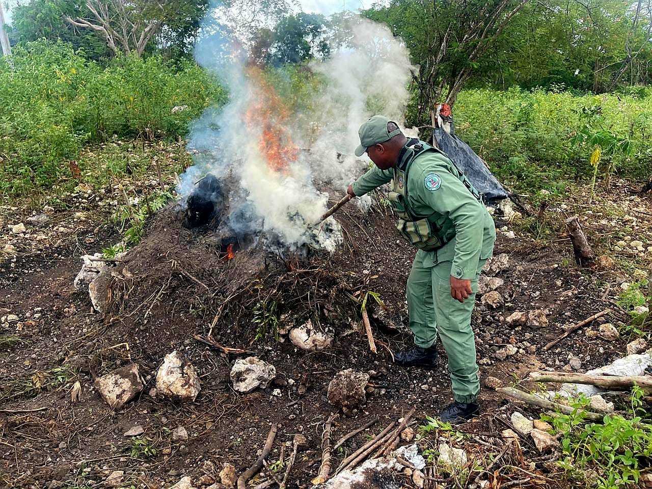 SENPA y Medio Ambiente intensifican operativos contra la producción ilegal de carbón vegetal y otros ilícitos ambientales SENPA y Medio Ambiente intensifican operativos contra la producción ilegal de carbón vegetal y otros ilícitos ambientales
