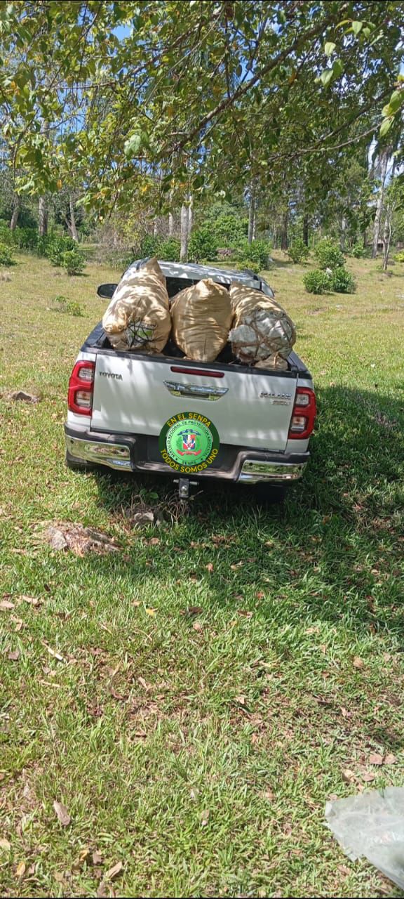SENPA y Medio Ambiente intensifican operativos de control ambiental en todo el país después del paso de la tormenta Melissa. SENPA y Medio Ambiente intensifican operativos de control ambiental en todo el país después del paso de la tormenta Melissa.