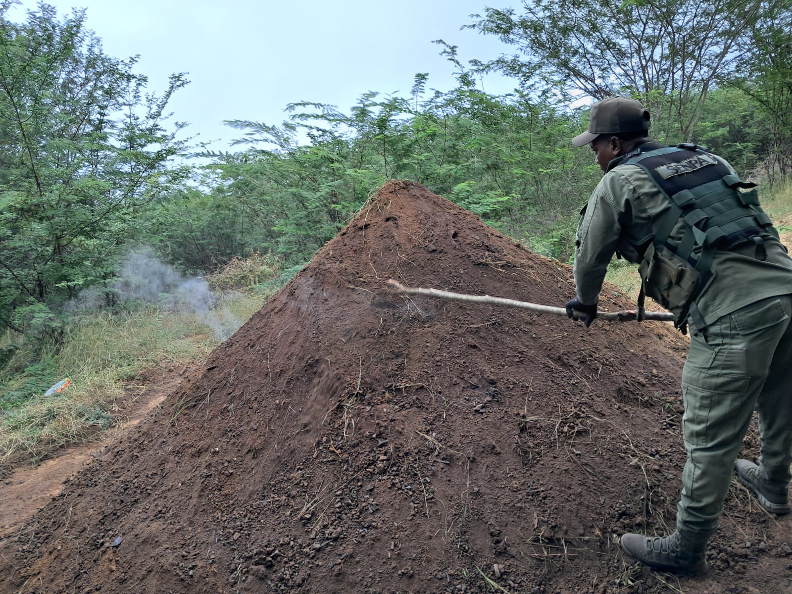 SENPA y Medio Ambiente continúan operativos contra delitos ambientales SENPA y Medio Ambiente continúan operativos contra delitos ambientales