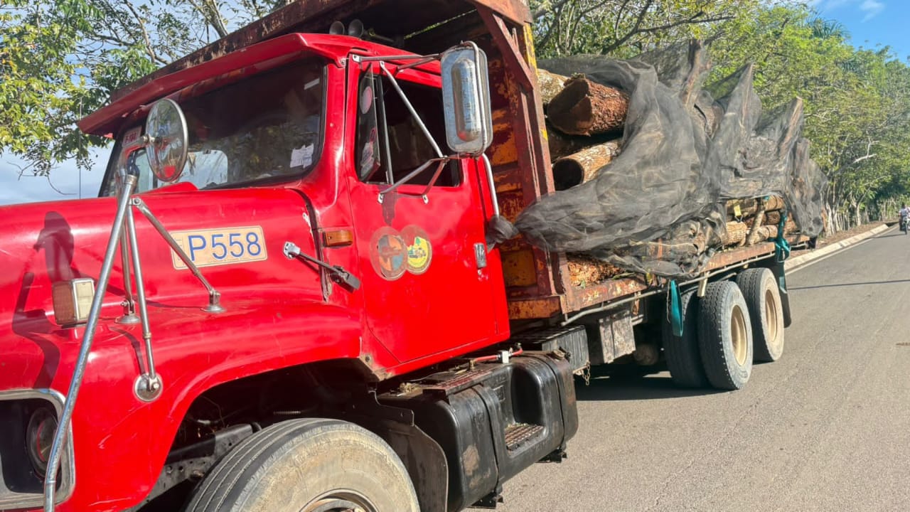 SENPA y Medio Ambiente incautan 831 unidades de postes y trozas de madera