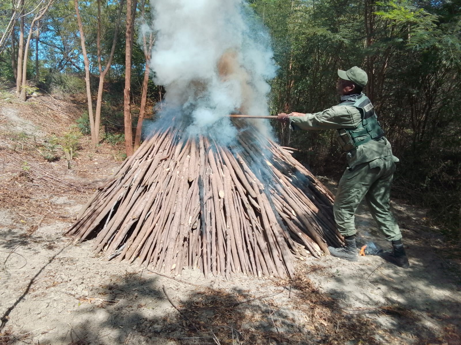 SENPA desmantela tres hornos clandestinos e impide la producción ilegal de 150 sacos de carbón vegetal