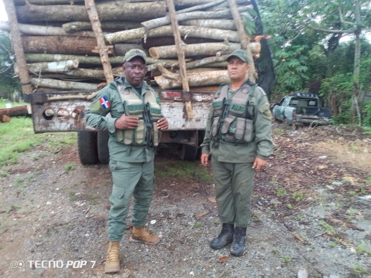 SENPA incauta más de 25 toneladas de leña, 500 varas de madera, 34 varas de jobobán y 23 pinos criollos en operativos realizados en varias provincias