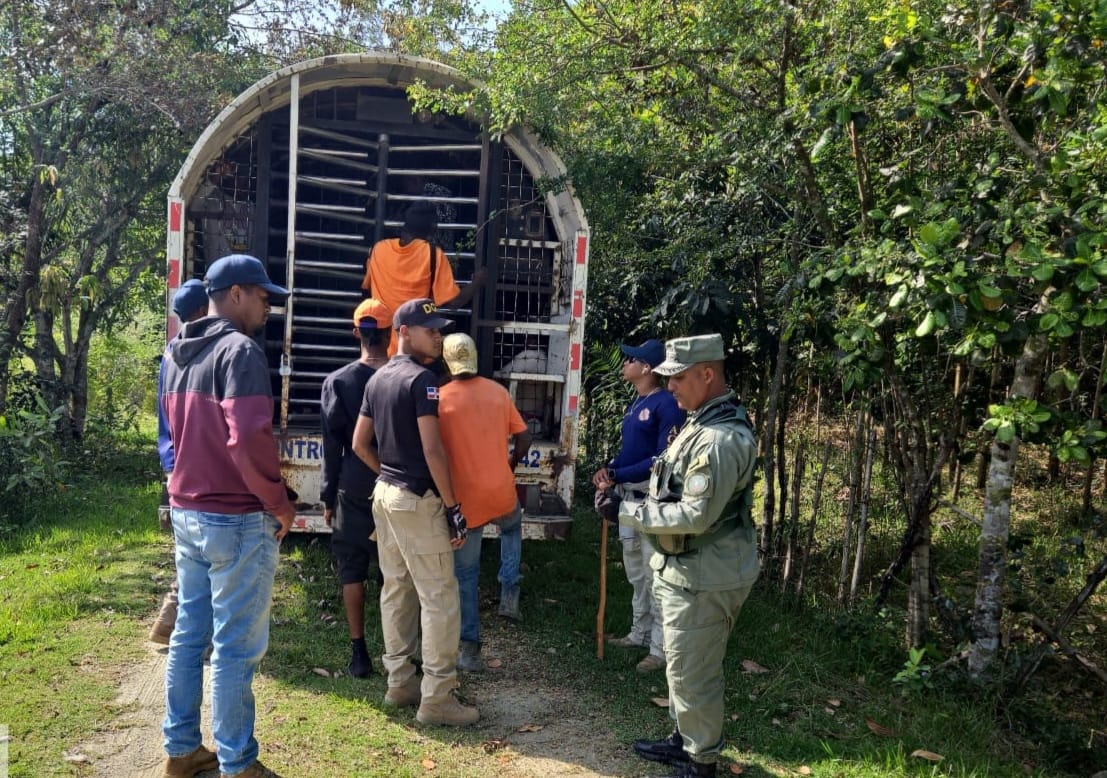 SENPA, Medio Ambiente y Migración detienen 25 personas dentro de área protegida en Dajabón