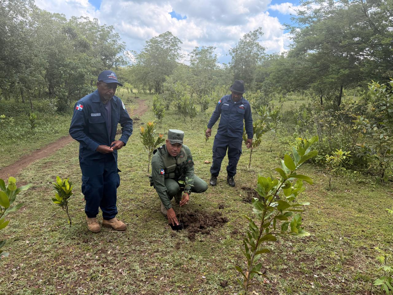 SENPA participa junto a Medio Ambiente, COOPINFA y la Armada de República Dominicana en jornada de reforestación por el Día Nacional del Árbol SENPA participa junto a Medio Ambiente, COOPINFA y la Armada de República Dominicana en jornada de reforestación por el Día Nacional del Árbol