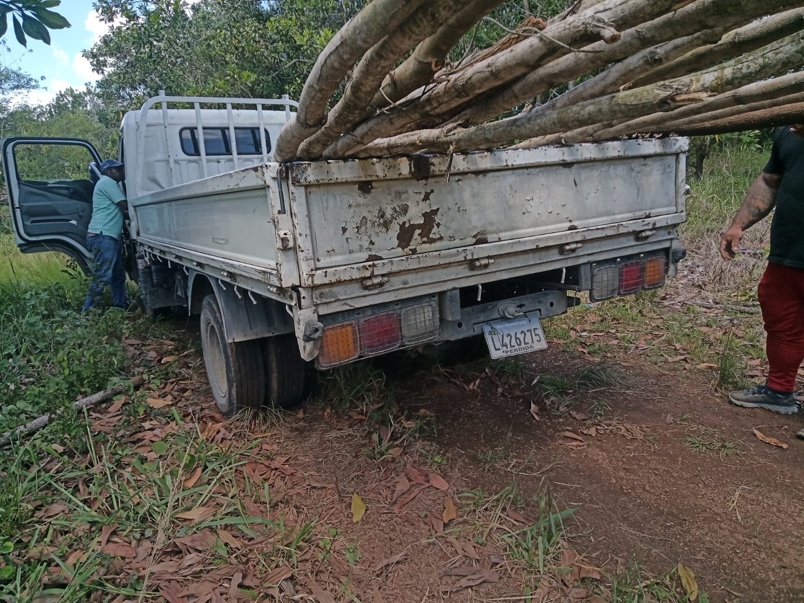 SENPA y Medio Ambiente ejecutan operativos: ocupan madera y hornos de carbón y junto a Migración detienen extranjeros ilegales en áreas protegidas.