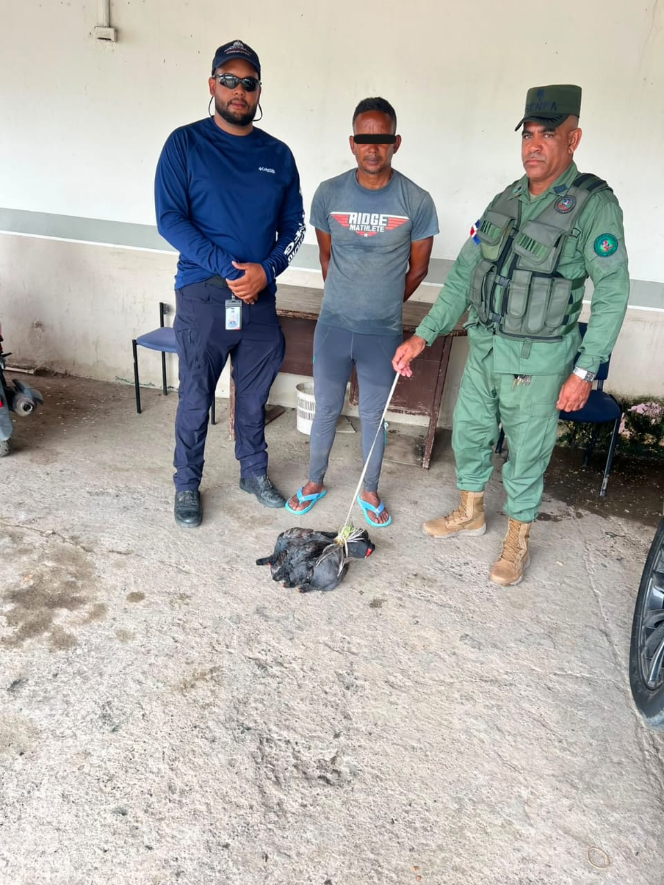 SENPA y Ministerio de Medio Ambiente detienen a una persona por captura y comercialización ilegal de gallaretas en Cotuí