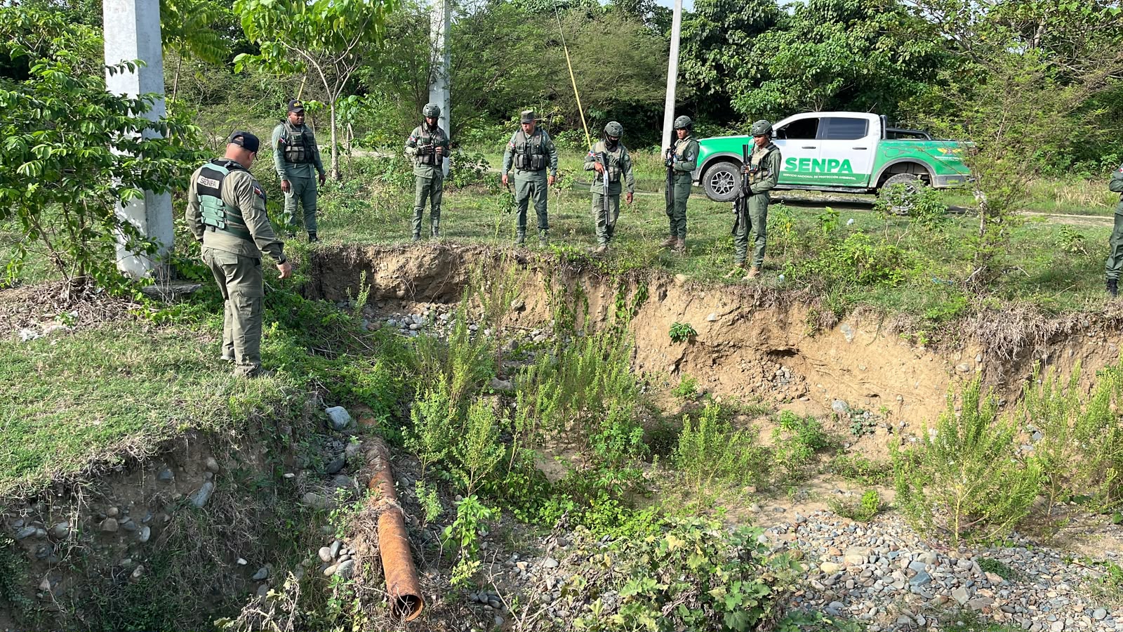 SENPA responde a denuncias ciudadanas con una decena de intervenciones en distintas provincias.