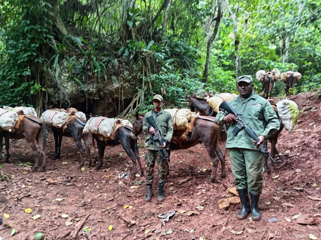 SENPA retiene nueve animales de carga y 1,620 libras de productos agrícolas en el Parque Nacional Los Haitises